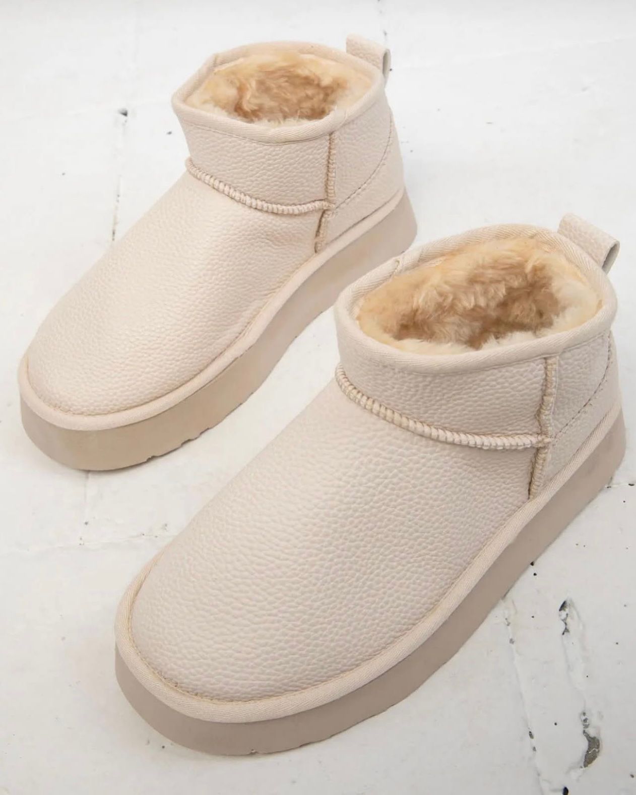 BOTA IVY